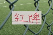 乐鱼网页版-中超四大豪门 红牌最多最多球队|上海海港|上海申花|曹永竞|北京国安|上海申花足球俱乐部_新浪体育_新浪新闻